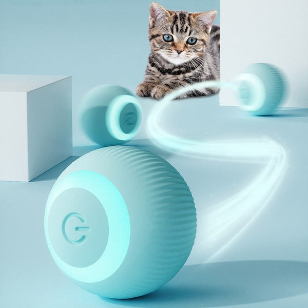 Bola Inteligente para Pet - Smart Ball™ Loja Priceoff  Pets
